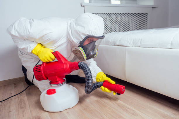 Flea Control Services in Buffalo Center, IA