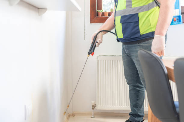 Best Ant Control Services  in Buffalo Center, IA
