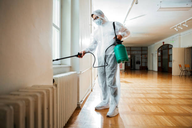 Best Bed Bug Extermination  in Buffalo Center, IA