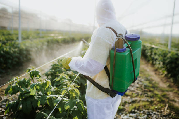  Buffalo Center, IA Pest Control Pros